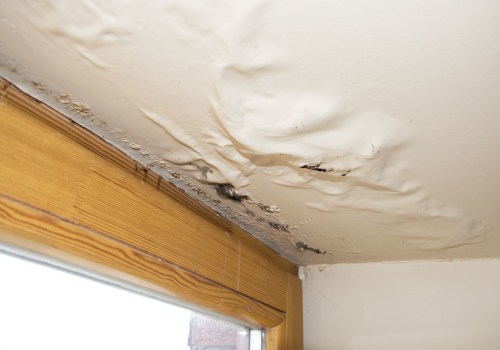 Leaks and Water Damage: What You Need to Know
